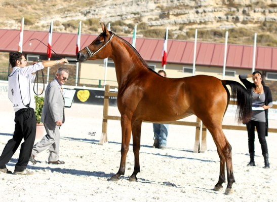 Abha Tara_Nacional 2012 (3)